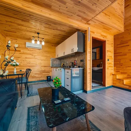 Naila Private Holiday home Sapanca