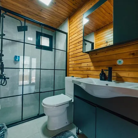 Naila Private Holiday home Sapanca
